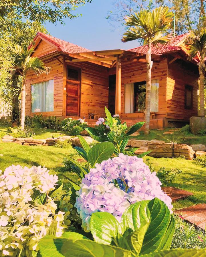 Sora Homestay Плейку Экстерьер фото
