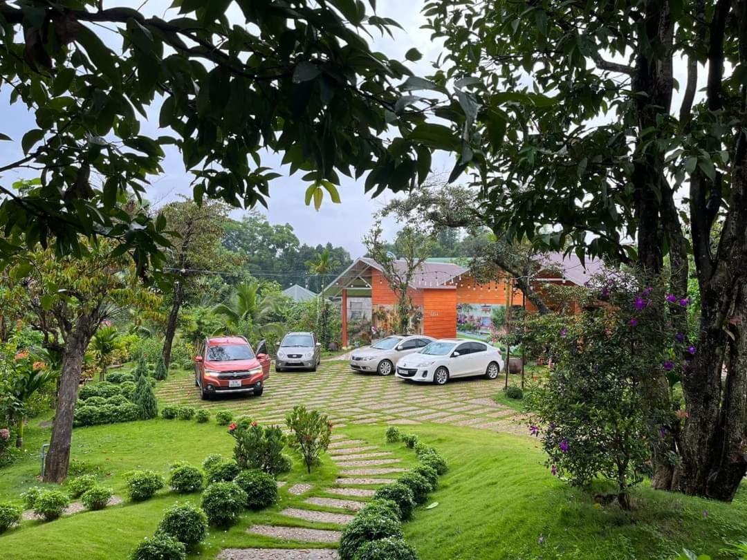 Sora Homestay Плейку Экстерьер фото